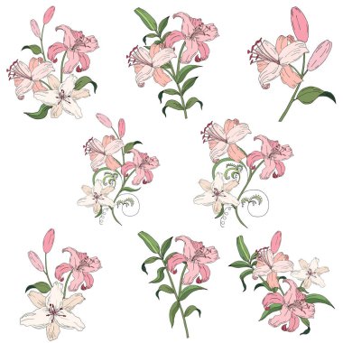 - Lily. Yapraklı ve çiçekli renkli çiçek koleksiyonu davetiye, düğün ya da tebrik kartı tasarımı. Vektör çizimi. Arkaplan. Düğün süslemeleri. Dekoratif gelin buketi. Arkaplan.