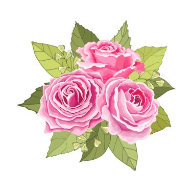 Beyaz arka plan üzerine kurulmuş klasik çiçekler. Gül zarif kartı. Güzel bir buket pembe çiçek ve yapraklar. Tebrik kartı ve düğün davetiyesi, doğum günü. Vektör çizimi. Kırmızı. 