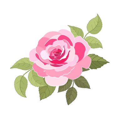 Beyaz arka plan üzerine kurulmuş klasik çiçekler. Gül zarif kartı. Güzel bir buket pembe çiçek ve yapraklar. Tebrik kartı ve düğün davetiyesi, doğum günü. Vektör çizimi. Kırmızı. 