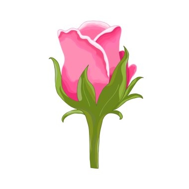 Beyaz arka plan üzerine kurulmuş klasik çiçekler. Gül zarif kartı. Güzel bir buket pembe çiçek ve yapraklar. Tebrik kartı ve düğün davetiyesi, doğum günü. Vektör çizimi. Kırmızı. 