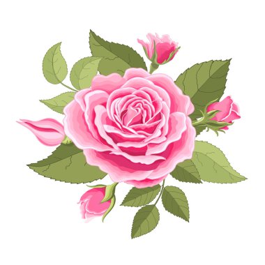 Beyaz arka plan üzerine kurulmuş klasik çiçekler. Gül zarif kartı. Güzel bir buket pembe çiçek ve yapraklar. Tebrik kartı ve düğün davetiyesi, doğum günü. Vektör çizimi. Kırmızı. 