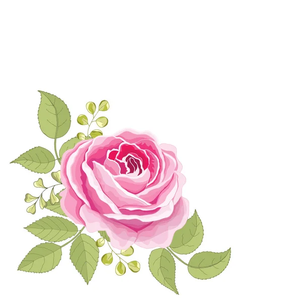 Flores Vintage Sobre Fondo Blanco Tarjeta Elegante Rosa Hermoso Ramo — Archivo Imágenes Vectoriales