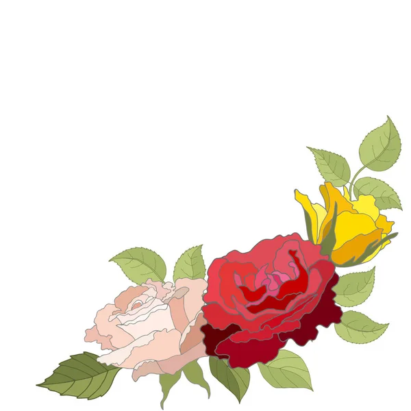 Vintage Flowers Set White Background Rose Elegant Card Beautiful Bouquet — Stock Vector