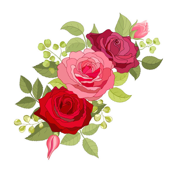 Vintage flowers set over white background. The rose elegant card. Beautiful bouquet of pink flowers and leaves. Design greeting card and invitation of the wedding, birthday. Vector illustration. Red. 