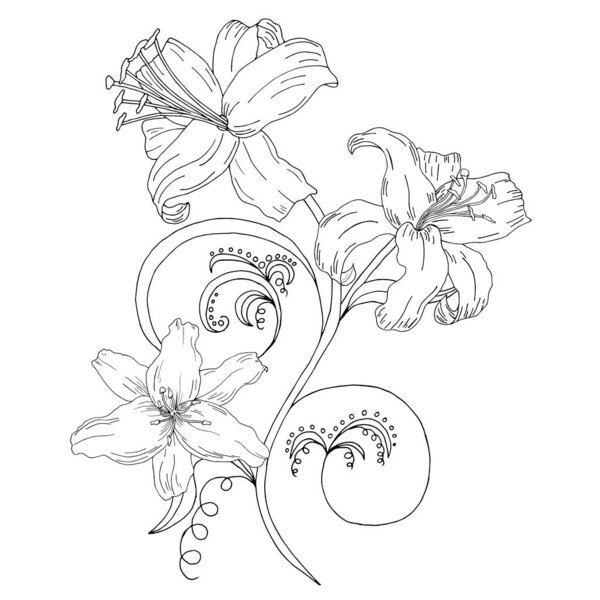 Цветок каракулей. Окрашенные лилии. Элегантная открытка. Расположение цветов изолировано на заднем плане. Приглашение на свадьбу, день рождения. Сердце. Векторная иллюстрация
.