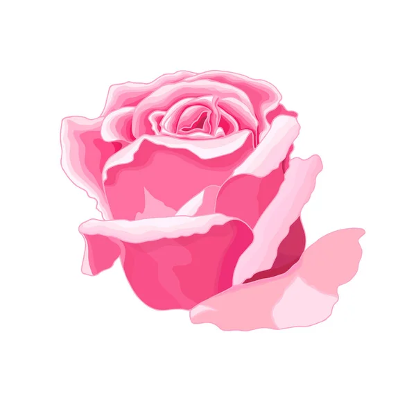 Flores Vintage Sobre Fondo Blanco Tarjeta Elegante Rosa Hermoso Ramo — Vector de stock