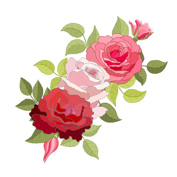 Flores Vintage Sobre Fondo Blanco Tarjeta Elegante Rosa Hermoso Ramo — Vector de stock