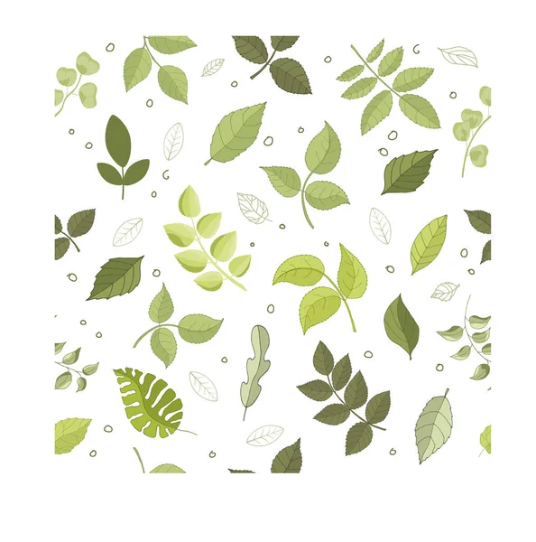 Vector Design Elements Set Collection Green Forest Fern Tropical Green — Διανυσματικό Αρχείο