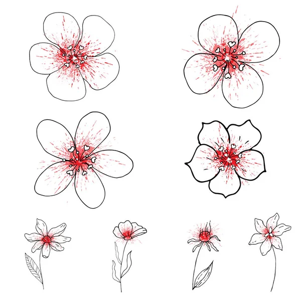 Wildblumensatz Vorhanden Doodle Blumen Und Blätter Einem Einfachen Modernen Stil — Stockvektor