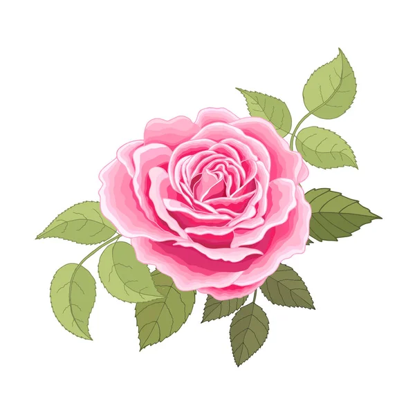 Fleurs Vintage Sur Fond Blanc Rose Élégante Carte Beau Bouquet — Image vectorielle