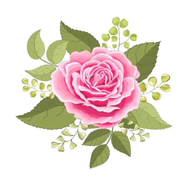 Vintage Blumen Vor Weißem Hintergrund Die Elegante Karte Der Rose — Stockvektor