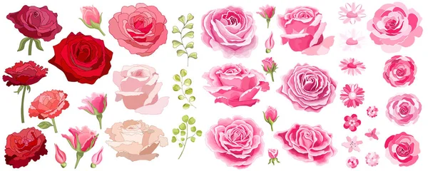 Flores Vintage Sobre Fondo Blanco Tarjeta Elegante Rosa Hermoso Ramo — Archivo Imágenes Vectoriales