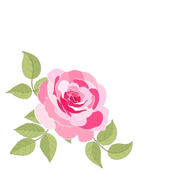 Flores Vintage Sobre Fondo Blanco Tarjeta Elegante Rosa Hermoso Ramo — Vector de stock