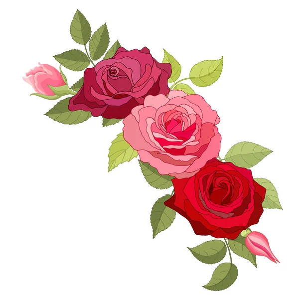 Flores Vintage Sobre Fondo Blanco Tarjeta Elegante Rosa Hermoso Ramo — Vector de stock