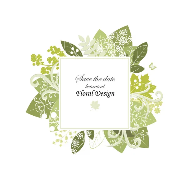 Éléments Design Vectoriel Mis Collection Fougère Verte Forêt Feuilles Naturelles — Image vectorielle