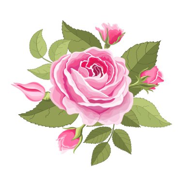 Beyaz arka plan üzerine kurulmuş klasik çiçekler. Gül zarif kartı. Güzel bir buket pembe çiçek ve yapraklar. Tebrik kartı ve düğün davetiyesi, doğum günü. Vektör çizimi. Kırmızı. 