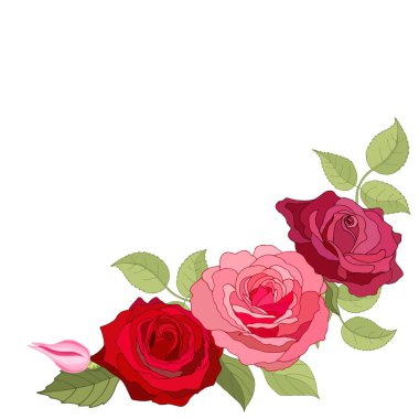 Beyaz arka plan üzerine kurulmuş klasik çiçekler. Gül zarif kartı. Güzel bir buket pembe çiçek ve yapraklar. Tebrik kartı ve düğün davetiyesi, doğum günü. Vektör çizimi. Kırmızı. 