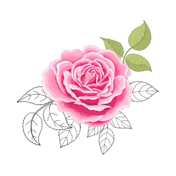 carnet rose, illustration, vecteur sur fond blanc. 13875720 Art vectoriel  chez Vecteezy