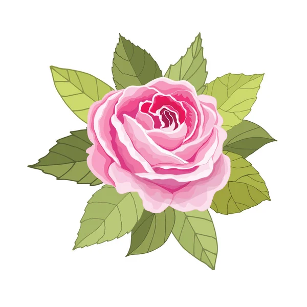 Flores Vintage Sobre Fondo Blanco Tarjeta Elegante Rosa Hermoso Ramo — Vector de stock