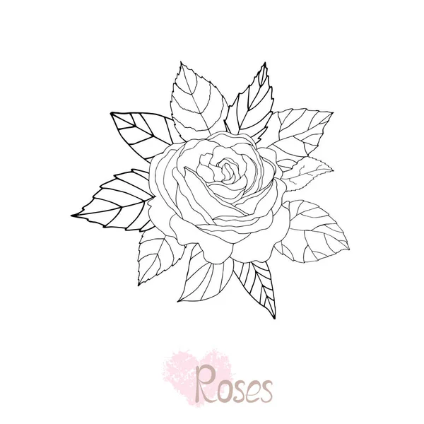 Красива Чорно Біла Троянда Листя Квіткова Композиція Ізольована Фоні Дизайн — стоковий вектор