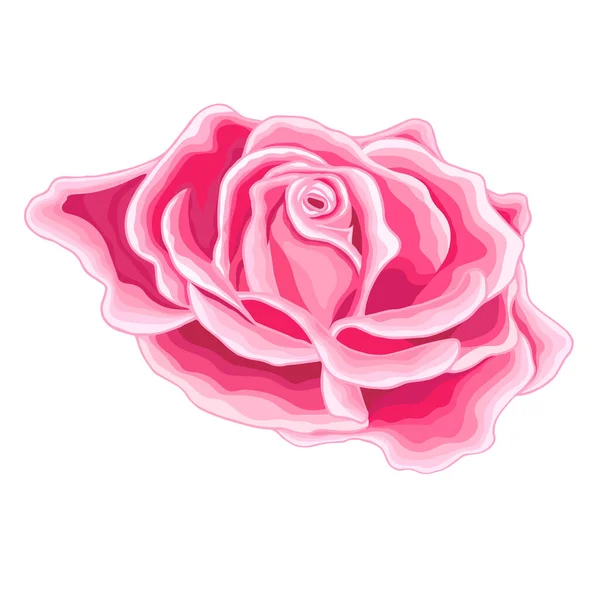 Flores Vintage Sobre Fondo Blanco Tarjeta Elegante Rosa Hermoso Ramo — Vector de stock