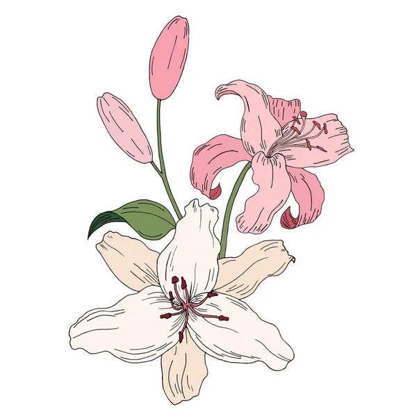 Lily Yapraklı Çiçekli Renkli Çiçek Koleksiyonu Davetiye Düğün Tebrik Kartı — Stok Vektör