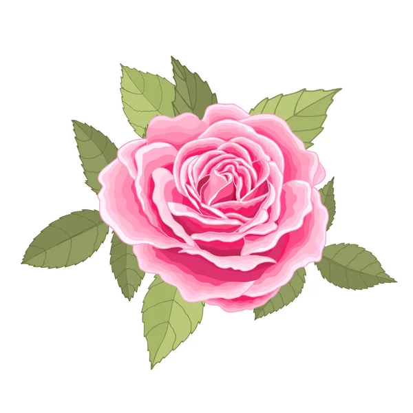 Fleurs Vintage Sur Fond Blanc Rose Élégante Carte Beau Bouquet — Image vectorielle