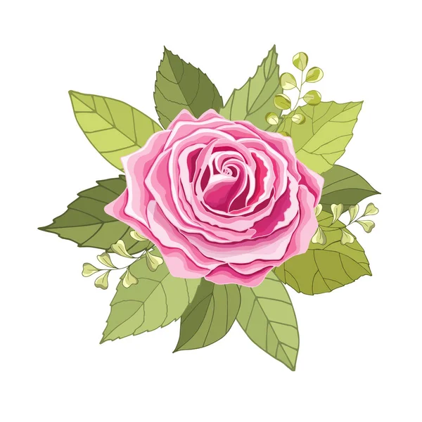 Vintage Blumen Vor Weißem Hintergrund Die Elegante Karte Der Rose — Stockvektor
