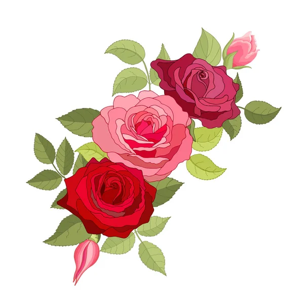 Flores Vintage Sobre Fondo Blanco Tarjeta Elegante Rosa Hermoso Ramo — Vector de stock