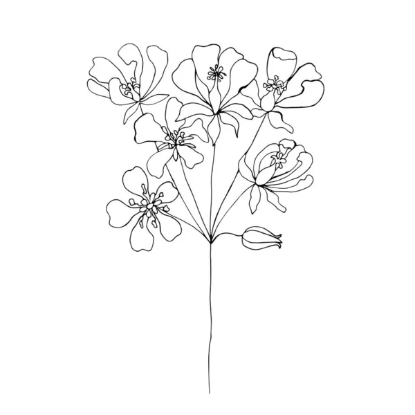 Ensemble Fleurs Sauvages Doodle Fleurs Feuilles Dans Style Moderne Simple — Image vectorielle