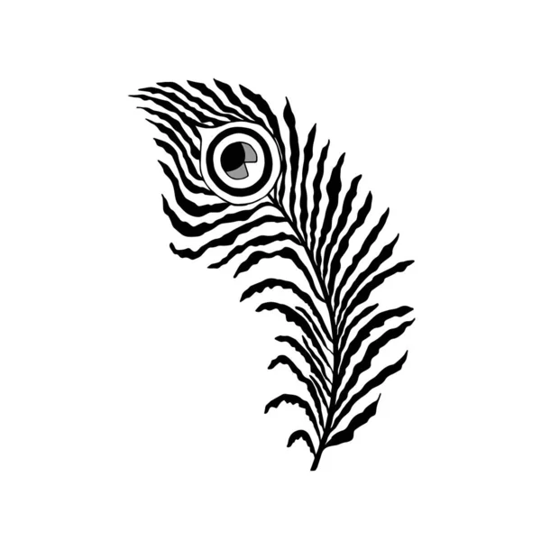 Peacock Peří Bílém Pozadí Šťastnou Krishnu Janmashtami Vektorová Ilustrace Zelená — Stockový vektor