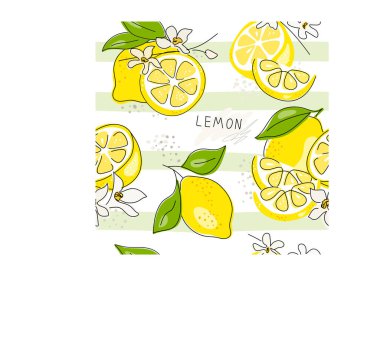 Taze sarı limon, yeşil yapraklı ve çiçekli limon meyveleri. Beyaz arka planda kusursuz turunçgil dokusu. Limon dilimi. Doodle Minimal Style. Siyah çizgi. Vektör çizimi. El yazısı.