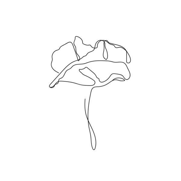 Poppies Fleur Dessin Ligne Continue Coquelicot Minimal Abstrait Ligne Vectorielle — Image vectorielle
