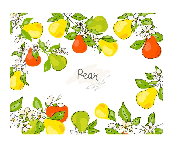 Fresh Green Whole Halved Pear Leaves Fruits White Background Doodle — Stock Vector