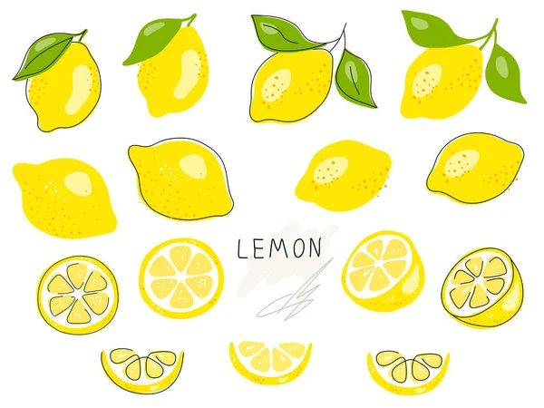 Whole Lemon Cut Half Slice Clipping Path Isolated White Background — Stock Vector