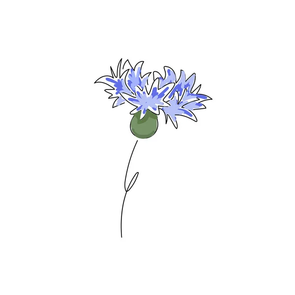 Imagem Vetorial Flores Silvestres Cornflowers Isolado Fundo Branco Doodle Ilustração —  Vetores de Stock