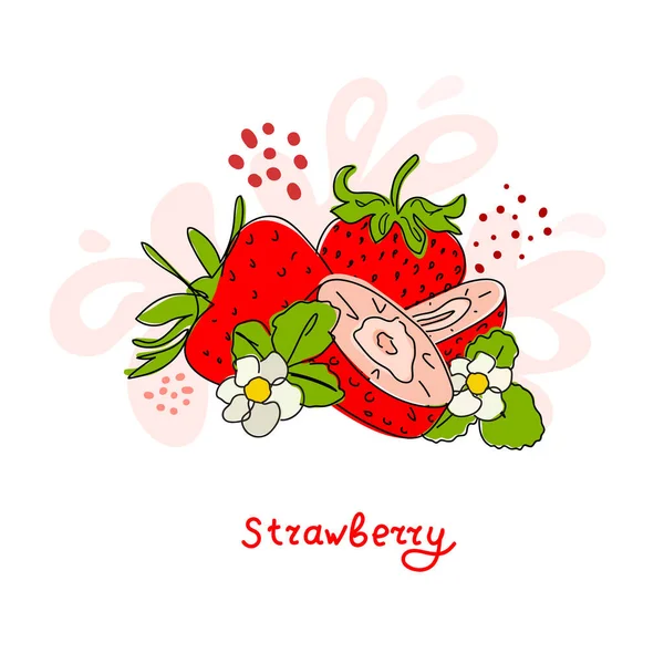 Frische Erdbeeren Rote Beeren Blätter Früchte Saft Spritzer Saftiges Spray — Stockvektor