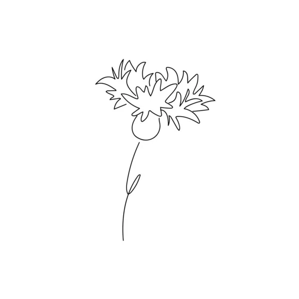 Imagen Vectorial Flores Silvestres Acianos Aislados Sobre Fondo Blanco Doodle — Vector de stock