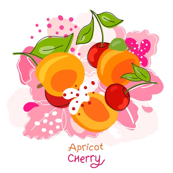 Frische Helle Ganze Und Halbierte Aprikosen Blätter Früchte Auf Abstraktem — Stockvektor