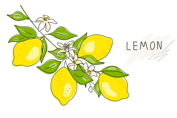 Limon Y El Limon Cortado La Mitadストックベクター ロイヤリティフリーlimon Y El Limon Cortado La Mitadイラスト ページ 4 Depositphotos Limon Y El Limon Cortado La Mitadストックベクター ロイヤリティフリーlimon Y El Limon Cortado La Mitadイラスト ページ 4 Depositphotos