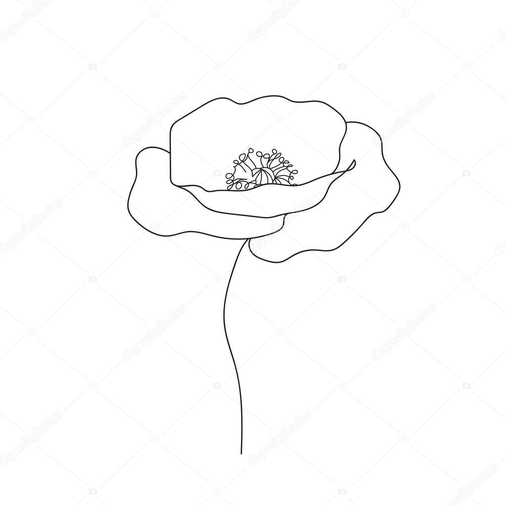 Poppies flower continuous line drawing. Abstract minimal poppy. Editable vector line. Poppy flower icon, logo, label. Doodles in black and white. Illustration. Handwriting. 