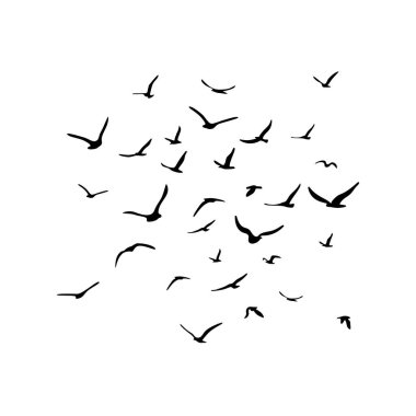 Uçan siluet kuş sürüsü. Beyaz arka planda siyah. Vektör illüstrasyonu