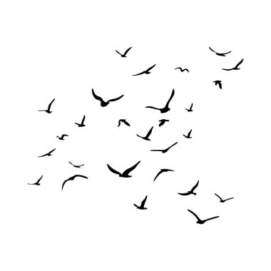 Uçan siluet kuş sürüsü. Beyaz arka planda siyah. Vektör illüstrasyonu