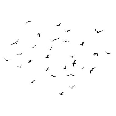 Uçan siluet kuş sürüsü. Beyaz arka planda siyah. Vektör illüstrasyonu