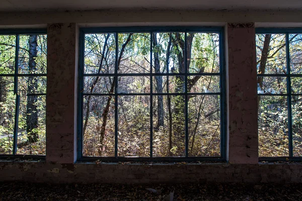 Uitzicht Vanaf Windows Verlaten Winkel Chornobyl Zone — Stockfoto