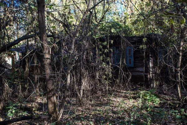 Verlaten Houten Huis Herfst Chornobyl Zone — Stockfoto