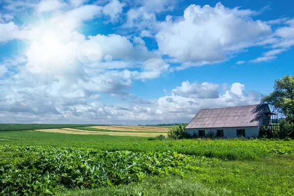 Countryside in Ukraine — Stock Photo, Image