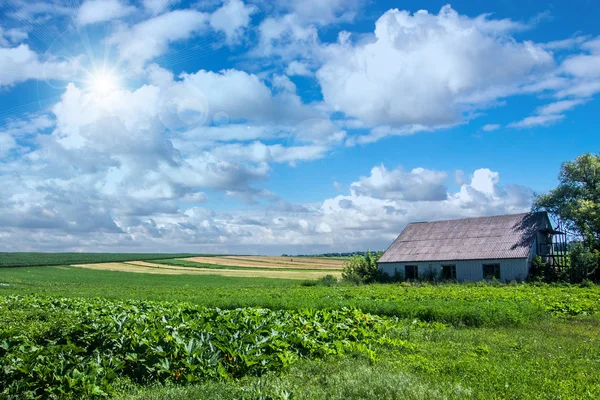 Campo en Ucrania —  Fotos de Stock