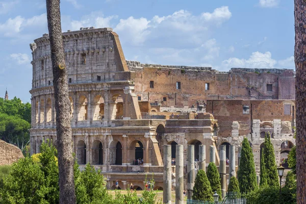 Roma Itália Agosto 2018 Vista Sobre Coliseu Dia Quente Verão — Fotografia de Stock