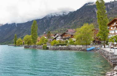 Görünüm Brienz Gölü ve gezinti